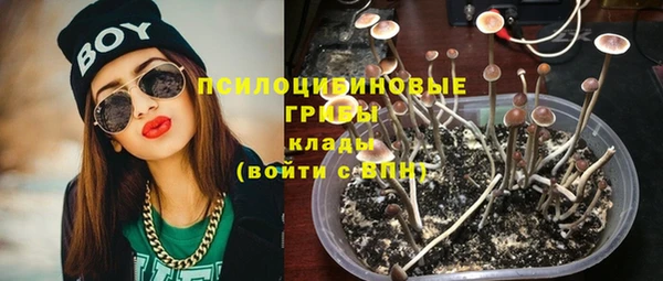 ешки Арсеньев