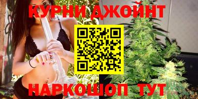 прущие крисы Будённовск