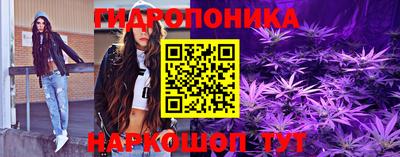 прущие крисы Будённовск