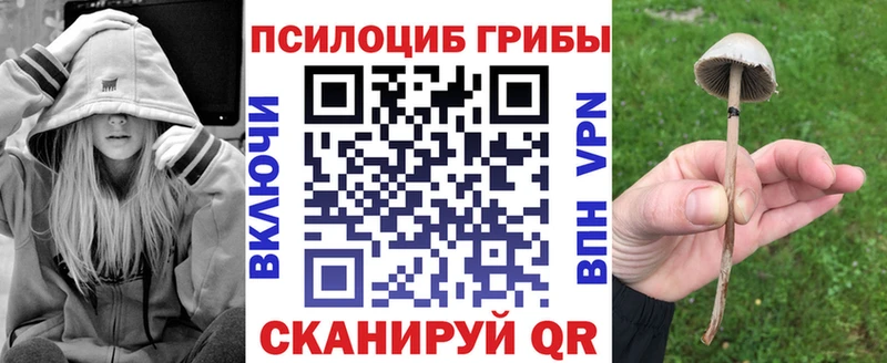 Псилоцибиновые грибы Magic Shrooms  купить наркотик  Белово 