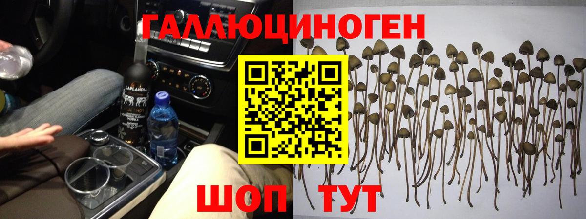 Псилоцибиновые грибы мухоморы  Вход с VPN  хочу наркоту  Белово 